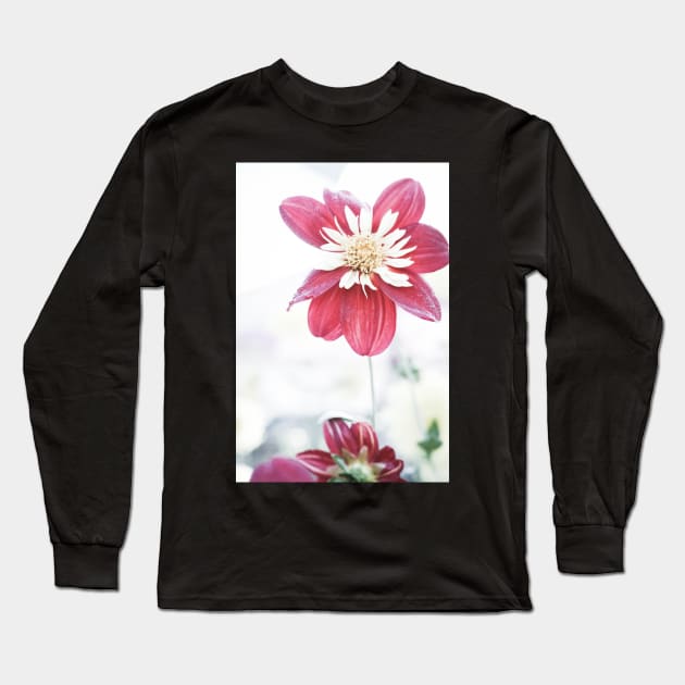 Dahlia flower 1 Long Sleeve T-Shirt by DeborahMcGrath